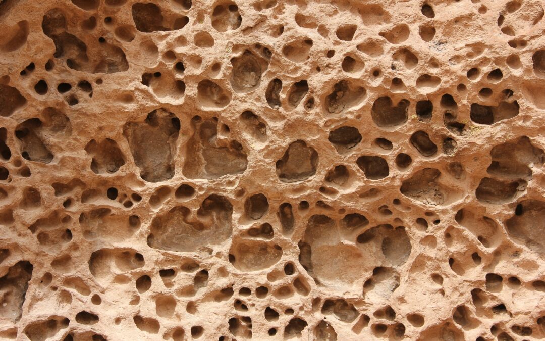 Abstract image symbolizing bone marrow and its regenerative role in bone healing.